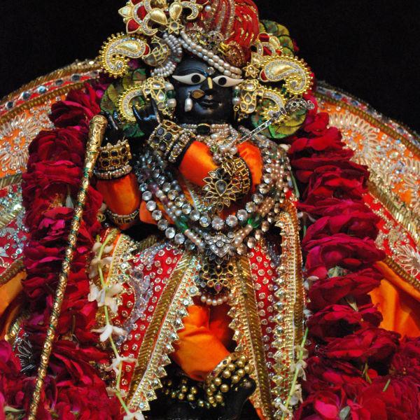 Shri Radharaman’s Dress Service